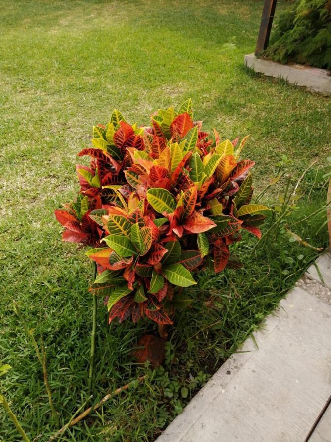 Hotel Quinta Del Descanso Cuautla  외부 사진